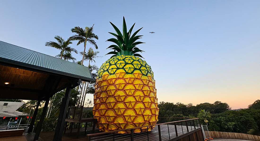 Case Study: HoardFast - Key to the Big Pineapple's Seamless Renovation