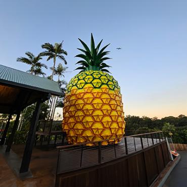 Case Study: HoardFast - Key to the Big Pineapple's Seamless Renovation