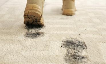 Choosing the Right Carpet Protection: Protecta Weave vs. Protecta Film Carpet